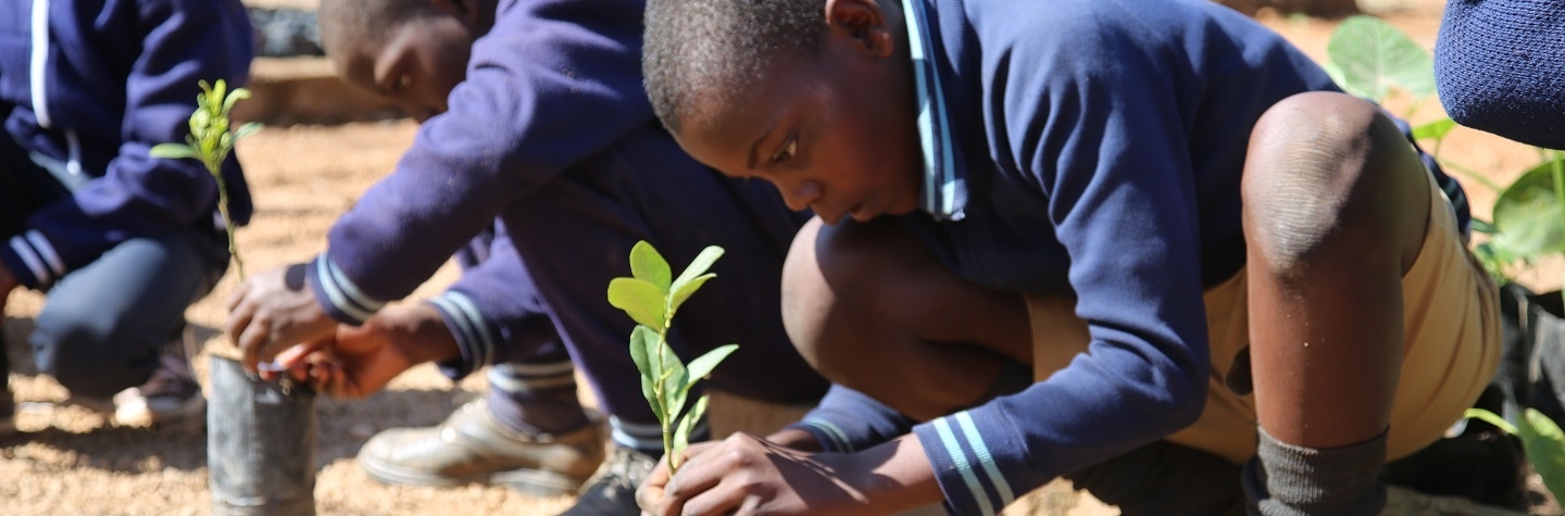 Sustainability